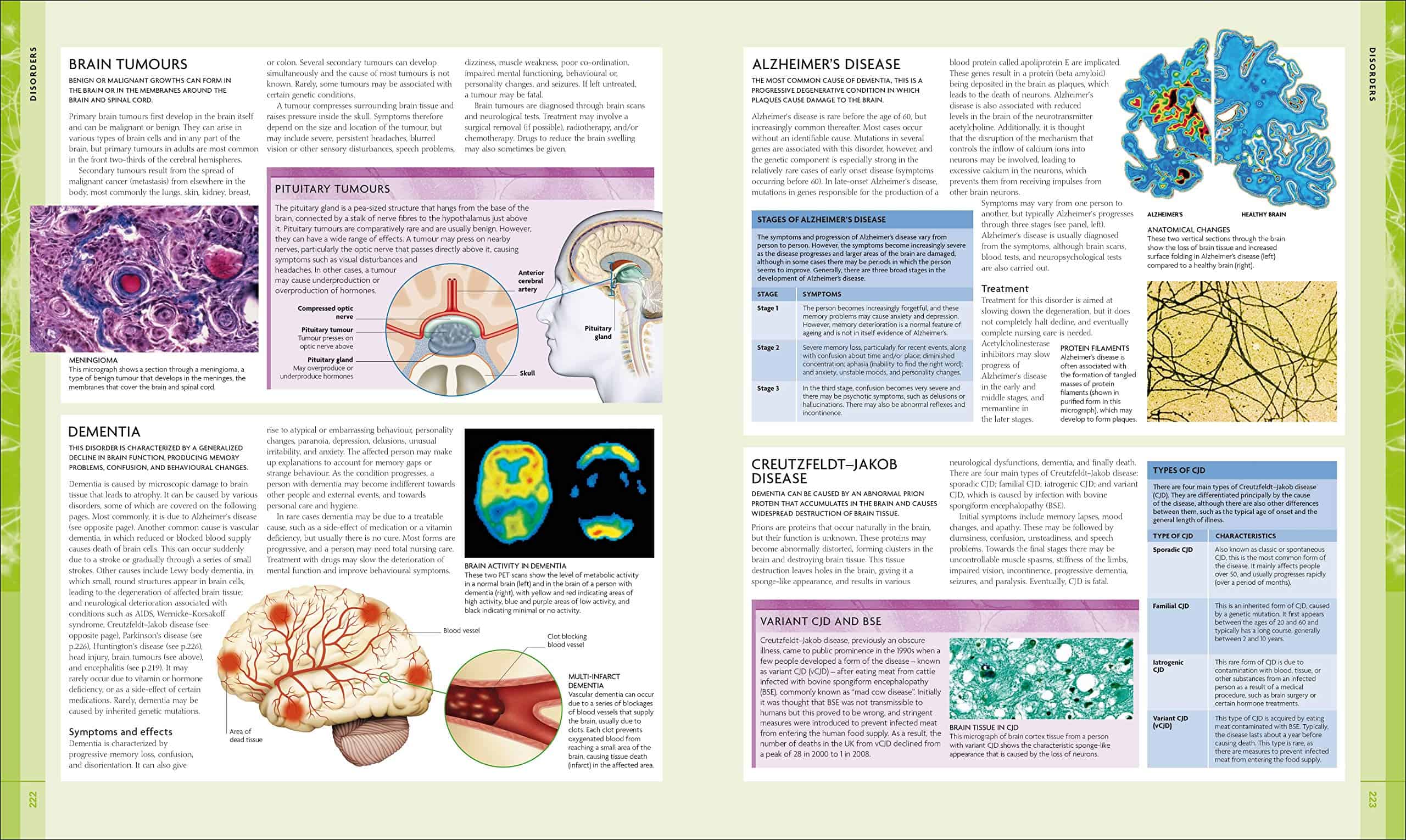 Cognitive Neuroscience Banich 3rd Edition Pdf - pplasopa
